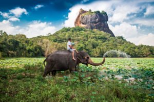 Visit Sigiriya: A Guide for Travellers, https://rainbowtourssrilanka.com, Rainbow Tours Sri Lanka, Sigiriya Rock Fortress, Lion Rock Sri Lanka, ancient city of Sigiriya, https://rainbowtourssrilanka.com/sigiriya-rock-fortress/