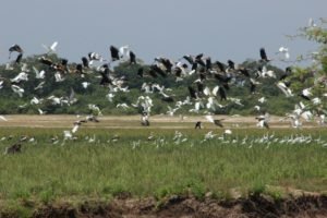 https://rainbowtourssrilanka.com, Rainbow Tours Sri Lanka,