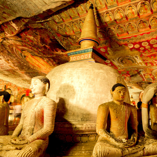 Kandy Day Tours - Dambulla rock Cave Temple