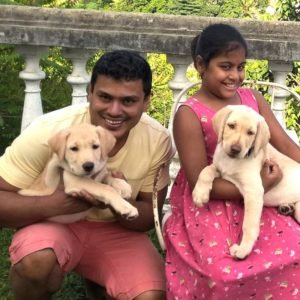 rainbow tours sri lanka Trip advisor, happy customer, https://rainbowtourssrilanka.com, Rainbow Tours Sri Lanka, Sri Lanka holidays, Sri Lanka tours, Trip to Sri Lanka