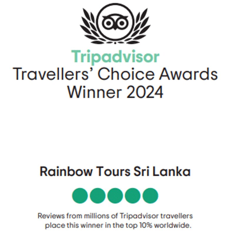 rainbow tours sri lanka Trip advisor, awrads, sri lankan winners, https://rainbowtourssrilanka.com, Rainbow Tours Sri Lanka, Traveller's Choice Award Winner 2024