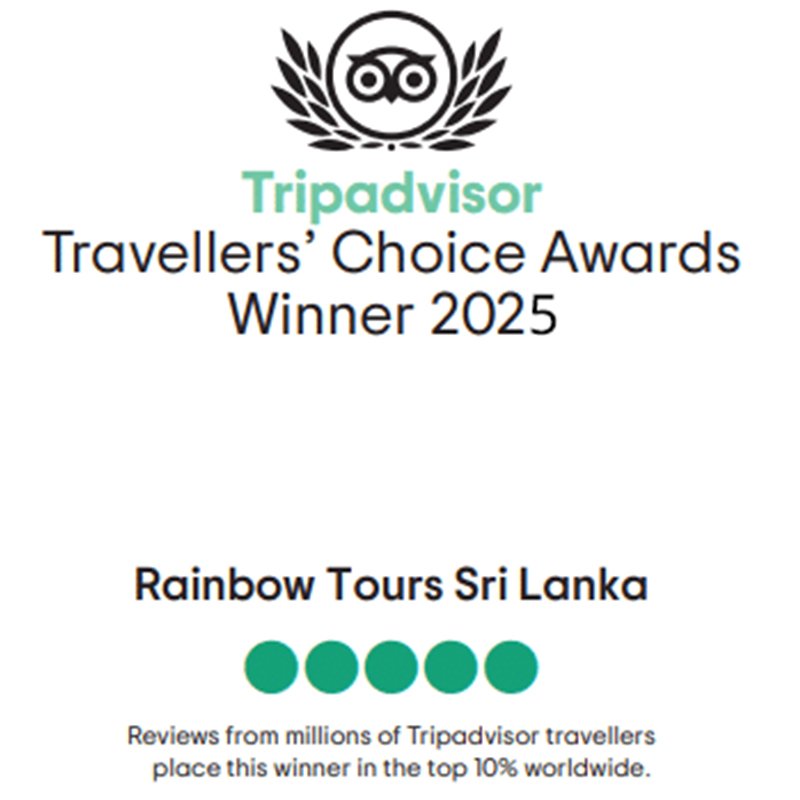 rainbow tours sri lanka Trip advisor, awrads, sri lankan winners, https://rainbowtourssrilanka.com, Rainbow Tours Sri Lanka, Traveller's Choice Award Winner 2024
